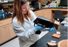 La technique LIBS : une innovation prometteuse pour l'identification et la traçabilité du bois