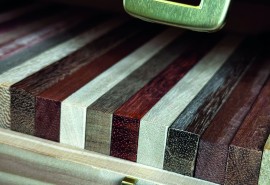 Lesser-Known Timber Species: from untapped potential to viable industry