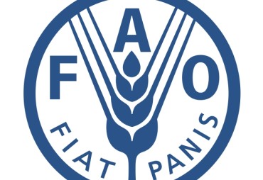 Recruitment: FAO is seeking a Facilitator for the Congo–European Union Forest Partnership