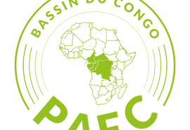 PAFC Congo Basin: Auditor chain of custody training (in English)