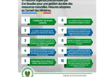 Le Conseil des ministres prévoit la suspension temporaire de l’exportation de bois d’œuvre en RDC