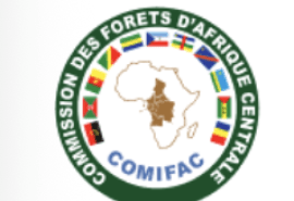 Call for applications – Audit of the OFAC information system