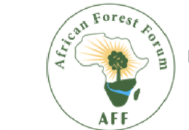 Communauté de Pratique – ZLECAf et commerce intra-africain du bois : un événement collaboratif en ligne du 30 juin au 11 juillet 2025
