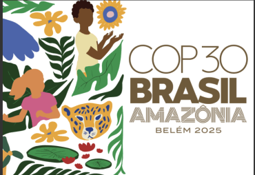 ATIBT at COP30 in Belém: tropical forests at the heart of climate solutions