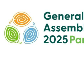 ATIBT at the FSC General Assembly in Panama from 27 to 31 October