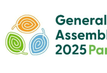 L’ATIBT à l’Assemblée Générale du FSC à Panama du 27 au 31 octobre
