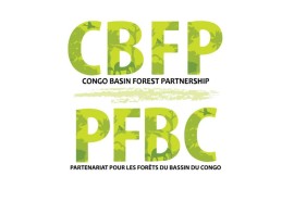 19th CBFP Meeting of Parties: Registration is open until May 20, 2022!