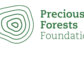 La Precious Forests Foundation : cap sur le rôle de facilitateur pour une gestion durable des forêts tropicales