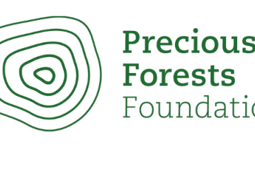 La Precious Forests Foundation : cap sur le rôle de facilitateur pour une gestion durable des forêts tropicales