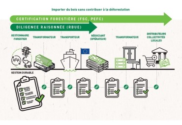 La filière forêt-bois certifiée et la déforestation importée