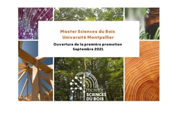 New Master in Wood Sciences at the Faculty of Sciences of the University of Montpellier, with a focus on tropical wood 