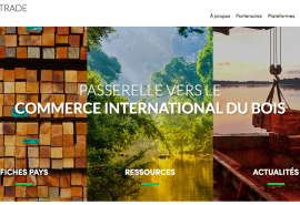 Le Timber Trade Portal fait peau neuve ! 