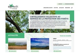 A new website for the Forest Scientific and Technical Committee 