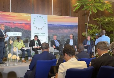 L’ATIBT présente au One Forest Summit les 1er et 2 mars 2023