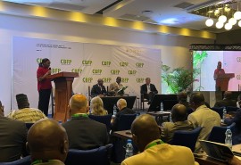 19th Meeting of the Parties of the CBFP in Libreville