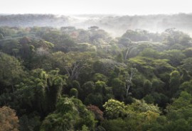 Rejoignez l’ATIBT pour une alternance en communication 2025–2027