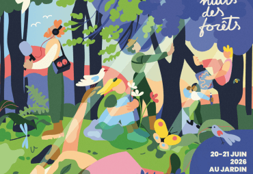 L’ATIBT participe à l’édition 2026 des Nuits des Forêts 