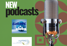 EUDR, African supply chains, and forest resilience: two podcast series to listen to