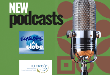 RDUE, filières africaines et résilience forestière : deux séries de podcasts à écouter