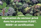 Finalization of the FLEGT REDD, FLEGT IP and FLEGT projects ATIBT certification