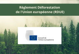 The EUDR adopted by the Council of the European Union