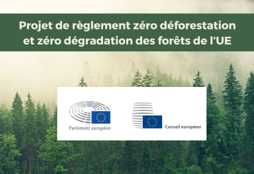 Accord provisoire sur la proposition de règlement zéro déforestation (RDUE) : les réactions et premières analyses