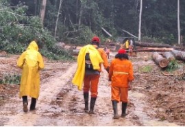 Study on sustainable management in Asian-led forest concessions in Gabon