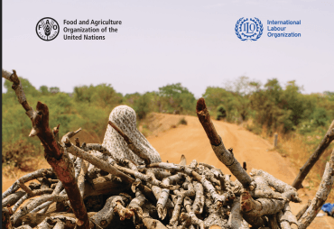 42 million Jobs, 182 countries, and a gender gap: The forest sector finally gets the data It deserves