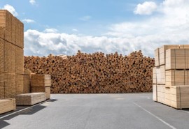 Focus on the enforcement of the new Swiss Timber Regulation