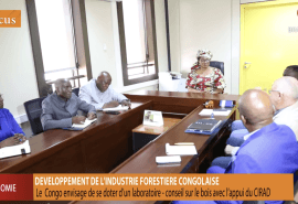 L’ATIBT Congo lance le laboratoire sur le bois pour valoriser les essences moins connues