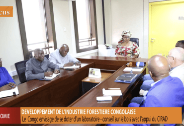 L’ATIBT Congo lance le laboratoire sur le bois pour valoriser les essences moins connues