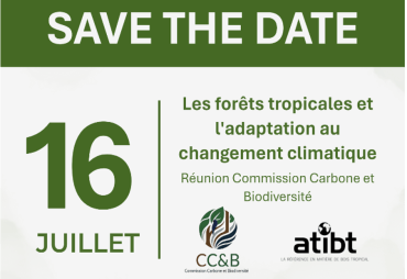 Join us on 16 July for the next ATIBT Carbon & Biodiversity Commission meeting, dedicated to the adaptation of tropical forests to climate change 