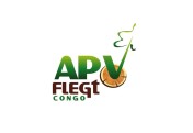 Start of the project entitled "Inventory and field test for the deployment of the SIVL with the stakeholders involved in the Congo VPA LAS