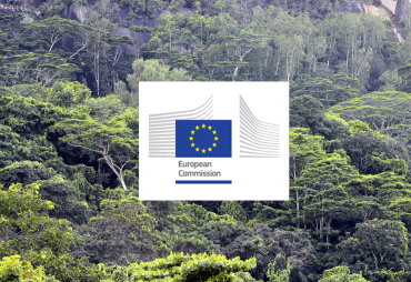 La Commission Européenne a publié son projet de réglementation pour lutter contre la déforestation importée