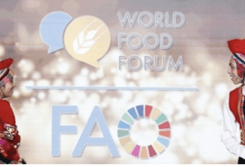 FAO – Call for participation: Global exhibition “From Seeds to Foods”