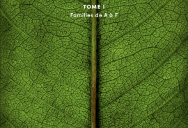 « Les Arbres d’Afrique Centrale », le nouvel ouvrage de référence sur la flore forestière des forêts d’Afrique centrale
