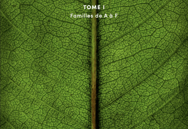 “Les Arbres d'Afrique Centrale” (The Trees of Central Africa), the new reference guide on the forest flora of Central Africa