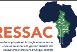 RESSAC at CIB: four years of forest research in Central Africa