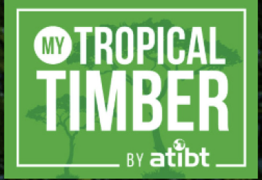 My Tropical Timber : une dynamique déjà bien engagée