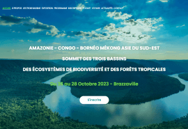 Le Sommet des Trois Bassins aura lieu en octobre 2023 à Brazzaville
