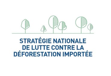 Lancement de la plateforme d'observation et de lutte contre la déforestation importée