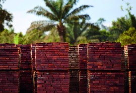 Save the date ! Tropical Timber: From Legality to Market Recognition — a strategic roundtable at Carrefour International du Bois 2026 - Nantes, France – 2 June 2026