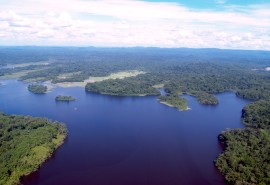 Adaptation des forêts tropicales au changement climatique : contribuez à l’étude de TEREA 