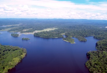 Adaptation des forêts tropicales au changement climatique : contribuez à l’étude de TEREA 