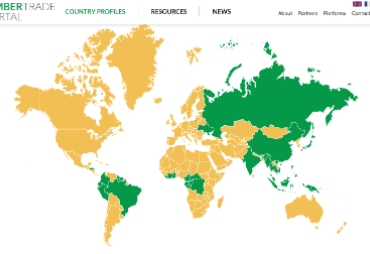 Update of the Timber Trade Portal: take part in the reflection workshop on 9 February