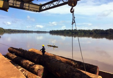 EU tropical timber imports at highest level in 10 years