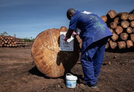 Publication : État des lieux des systèmes de traçabilité du bois dans les pays du bassin du Congo