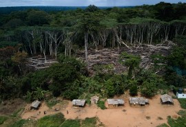 Against deforestation, let's help small producers change their practices