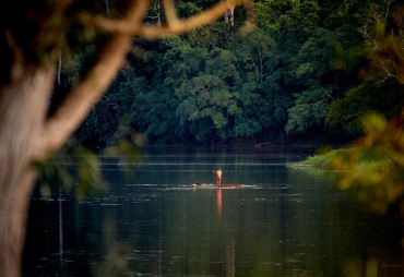 Tropical forests: "The recognition of community land rights is a virtuous protection against deforestation"