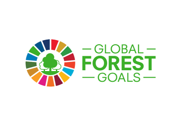 The 16th session of the United Nations Forum for Forests was held from 26 to 29 April 2021